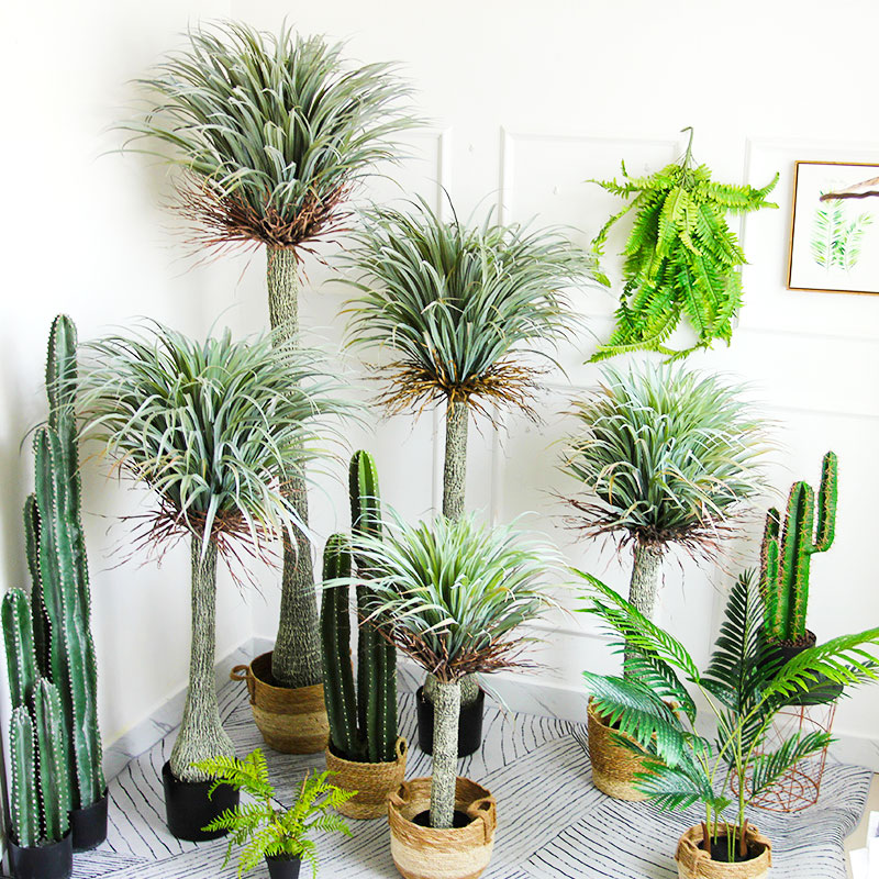Creative large-scale simulation dragon blood tree agave green plant bonsai tropical desert plant window display floor-to-ceiling ornaments
