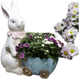 [Clear Warehouse Specials 79 Юань] Открытый белый кролик сочный цветочный горшок Сад расстояние