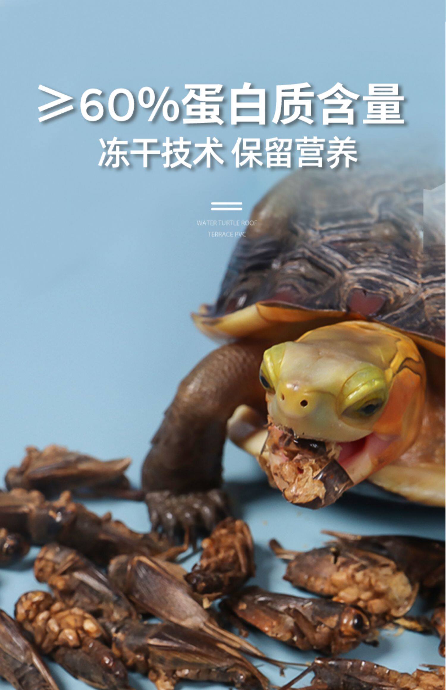 Насекомое питания рептилий/мин 保鲜冻干面包虫蟋蟀爬虫守宫蜥蜴仓鼠龙鱼刺猬食物乌龟非活体饲料