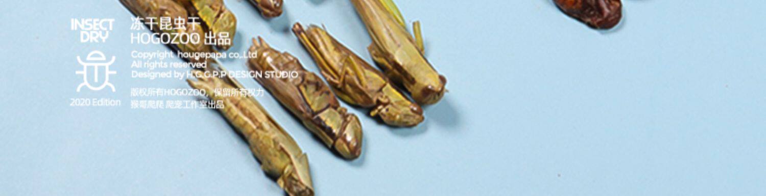 Насекомое питания рептилий/мин 保鲜冻干面包虫蟋蟀爬虫守宫蜥蜴仓鼠龙鱼刺猬食物乌龟非活体饲料