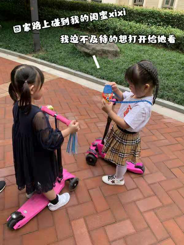 Аксессуары для рептилии None