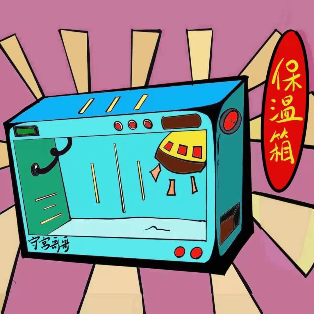 PVC Climbing Box Reptile Feeding box BAO WEN Palace Mane Lions Lizard Snake hedgehog Hedgehog Dragon Cat Heteropet Heating Incubator