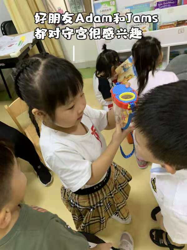 Аксессуары для рептилии None