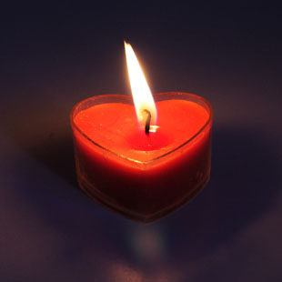 Bougie        - Ref 2490653 Image 15