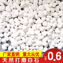 Small white stone large pebbles fleshy paving white stone flower pot garden decoration goose warm stone pot goose soft stone