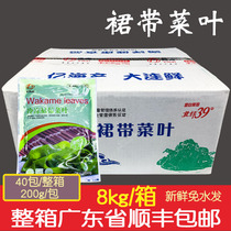 Fresh hot pot kelp vegetable leaf 200g40 bag dress with vegetable with side cool and cold vegetable kunbu kelp silk seaweed
