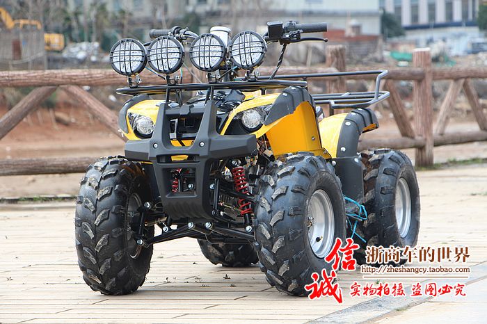 Lớn và nhỏ bull bãi biển trục ổ đĩa bốn bánh off-road xe máy Zongshen làm mát bằng nước điện sa mạc xe máy snowmobile