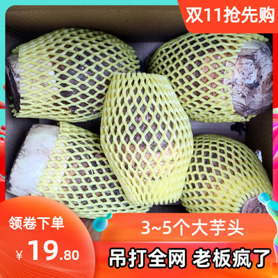 Bao Powder Authentic Lipu Taro 5 Catties Fresh Wisteria Big Taro Fresh Fragrance Fragrance Fragrance Arragrant Mud, Guangxi Lipu Mao Taro