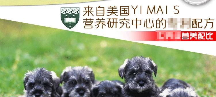 Thức ăn cho chó 2,5kg Gấu bông Thức ăn cho chó Teddy Bomei Jingba Người lớn Chó Thức ăn cho chó Thức ăn cho chó 5 kg Thức ăn cho chó Thức ăn cho thú cưng - Chó Staples