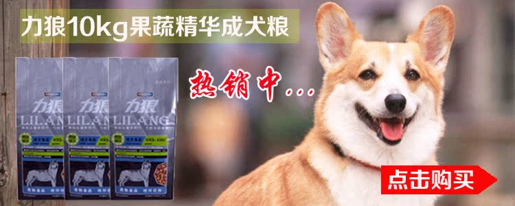 Thức ăn cho chó 500g dành cho người lớn thức ăn cho chó Jin Mao Teddy Samoyed hơn gấu lớn vừa và nhỏ chó thức ăn chính số lượng lớn 5 kg cám mèo