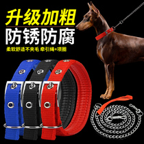 Chain Dog traction rope Teddy golden retriever dog walking rope Dog chain Small medium-sized large dog collar Pet supplies