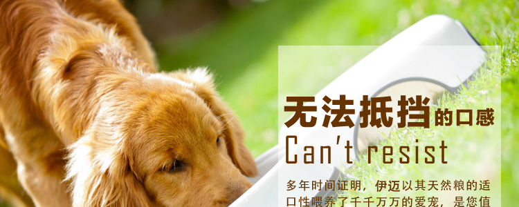 Imai thức ăn cho chó 2.5 kg hành lý thức ăn cho chó vào thức ăn cho chó puppies thực phẩm 5 kg dog thức ăn chính thức ăn vật nuôi royal canin giá rẻ