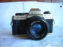 Very new Seagull DF--300G SLR camera with 50mmf1 8 lens collection