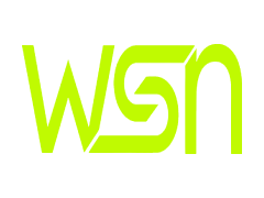 WOMEN'S SPORTS NETWORK
