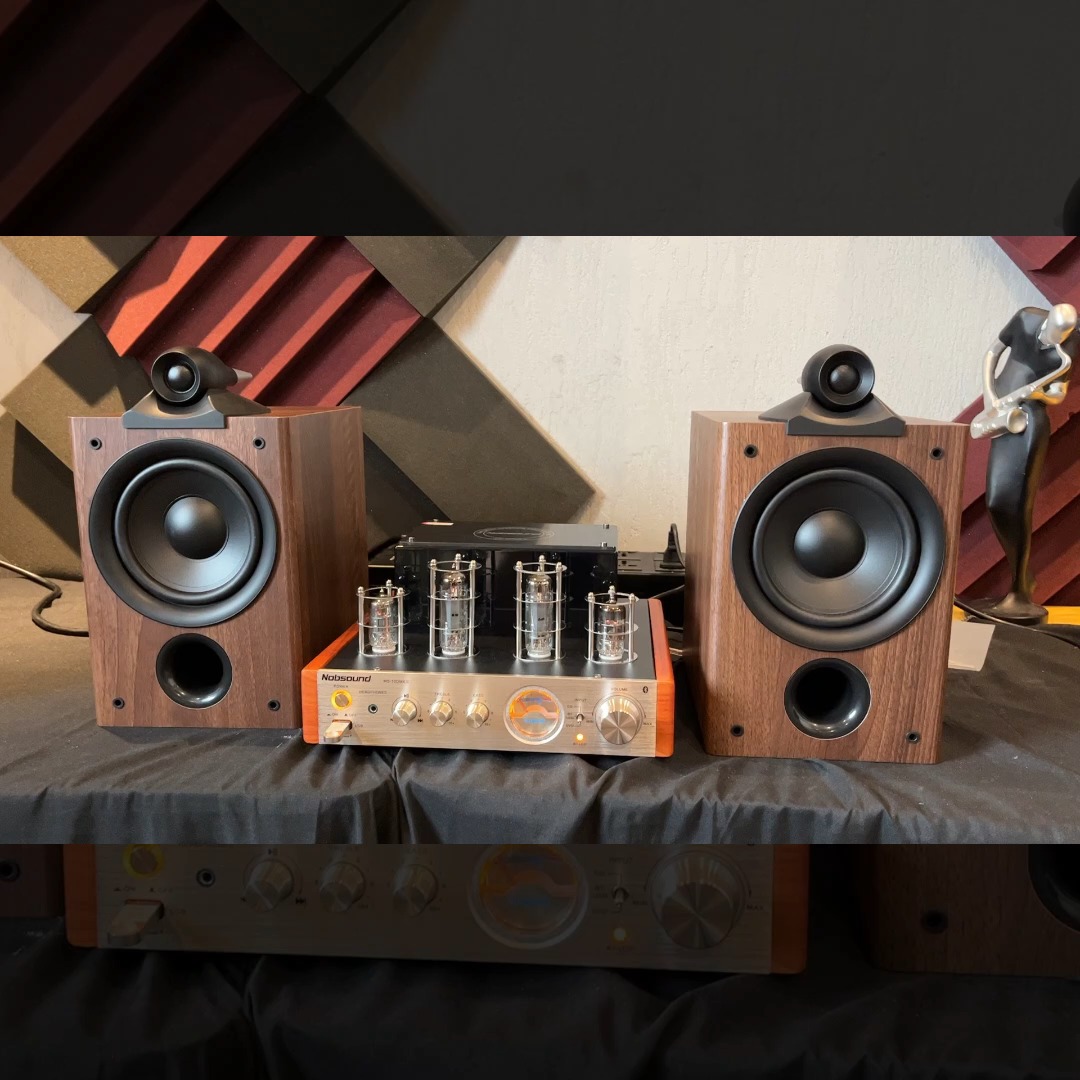 诺普声MS-10D来了，电子管音响他人听吗。