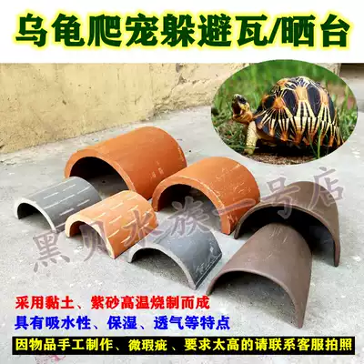 The tortoise evades the tile Anhui yellow edge to avoid the cave, the turtle, the creeping platform, the natural drying table, the moisturizing blue tile landscaping