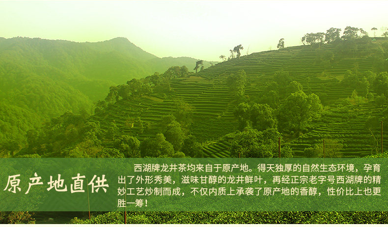 西湖牌 1949雨前龙井茶 200g 散装口粮茶 图8