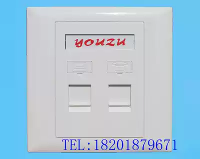 Original excellent family double Port Panel Network panel flat wall panel information panel 86 type panel