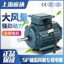Shanghai should DSFG axial flow fan special motor exhaust fan draft fan smoke machine three-phase motor high speed