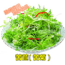 Bitter chrysanthemum seed four seasons potted salad milk vegetable salad milk vegetable yellow heart broken leaves bitter chrysanthemum rapeseed bitter chrysanthemum seed