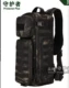 Black Scorpion Pattern 213#