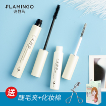 Flamingo slender mascara fiber grafted slender curl dense waterproof not easy to stain double tube combination set