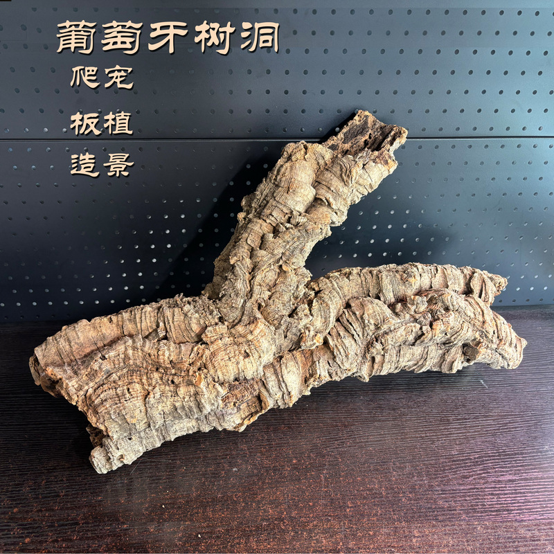 Portuguese Cork Bark Tree Hollow Tree Stump Reptile Shelter Rain Shelter Tank Landscaping Butterfly Orchid Antler Fern Board Plant