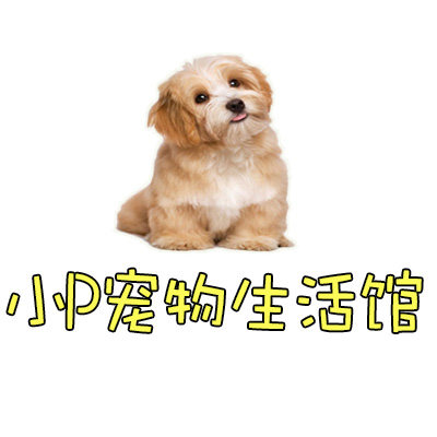小P宠物生活馆