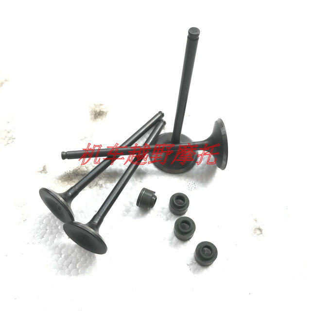 Xinyuan X2 engine X2 X2X Silver unicorn CB250 AX-1 valve Dadong valve valve seal