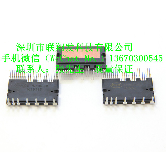BIPN60015C BIPN60020C BIPN60030C drive module stepper servo inverter