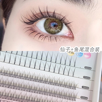 Fairies Fur Fishtail Eyelash Mix Self Graft Eyelash Sectional Single Cluster Mesh Red Fairy Soft Fur Natural Emulation