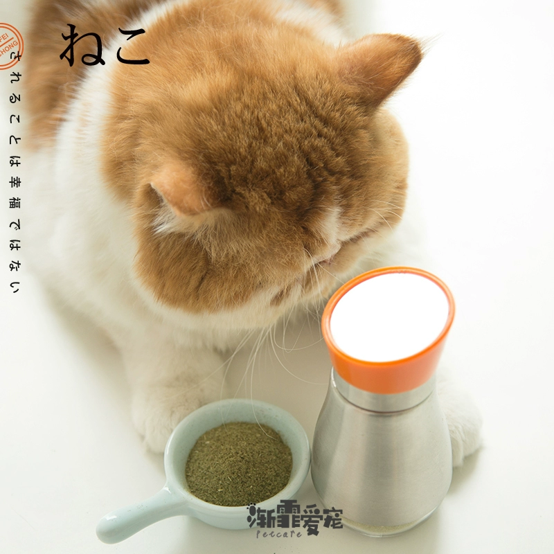 Một chai bột catnip tinh khiết cao cấp FOFOS "Happy Shaker", đồ ăn nhẹ kích thích mèo - Đồ ăn nhẹ cho mèo