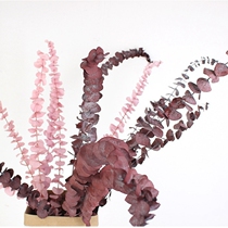 Net Red Autumn Color Ensemble Import Yugali Leaf Round Leaf Yonkins Retro Autumn Color Mix Color Diy Material Bag