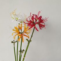 Simulation of the other shore Flower Man Pearl Shahua shooting props flower-flower art decoration flower photography props