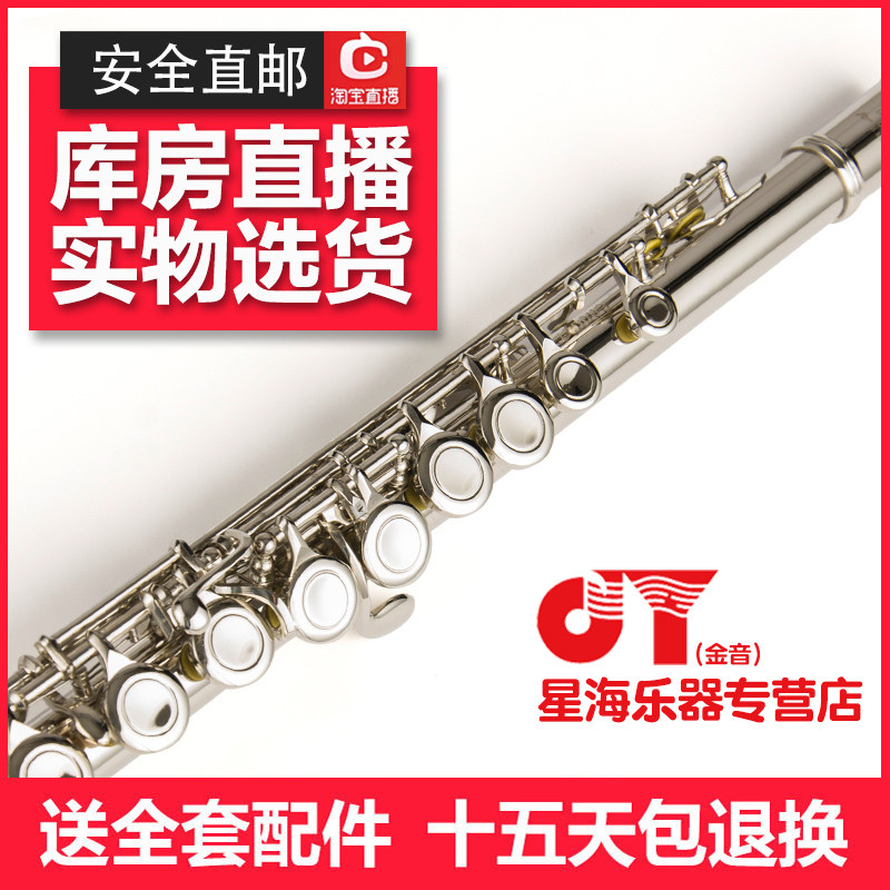 Golden tone flute instrument plus E-key JYFL-E150 16-hole curve C tune flute beginner grade examination General