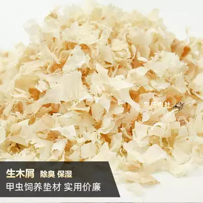 Beetle adult mat wood chip unicorn insect Beetle Beetle Beetle moisturizing mat deodorant pet insect breeding