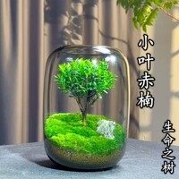 日本黄页网免费版指南｜访问方式与播放说明