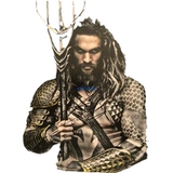 Сертификат привязанности к фотографам Нептуна Джейсона Момоа