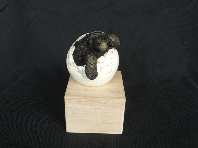 Direct Sales from the Manufacturer: 100% Handcrafted, Highly Realistic Galapagos Baby Turtle Hatching Model Direct Sales from the Manufacturer: 100% Handcrafted, Highly Realistic Galapagos Baby Turtle Hatching Model