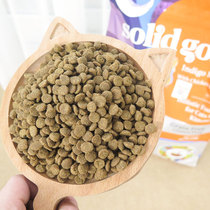 Intron official mail Canada anti-counterfeiting vegan high gold dress full cat food 12 lbs indie blue moon into young cat food