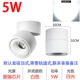 R8 White Shell 5W Белый свет