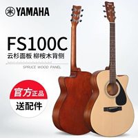 FS100C Yun Shanliu Eucalyptus Ritual Ritual Model