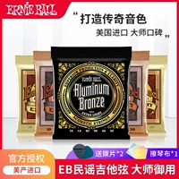 EB Qinxian подлинный Ernieball Набор из 6 US -производителей импортированной народной деревянной гитары универсальные аксессуары