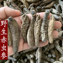 Dry sea cucumber deep sea wild sea cucumber red insect ginseng dry goods 500g non-Liao ginseng non-ready sea cucumber sea seepage