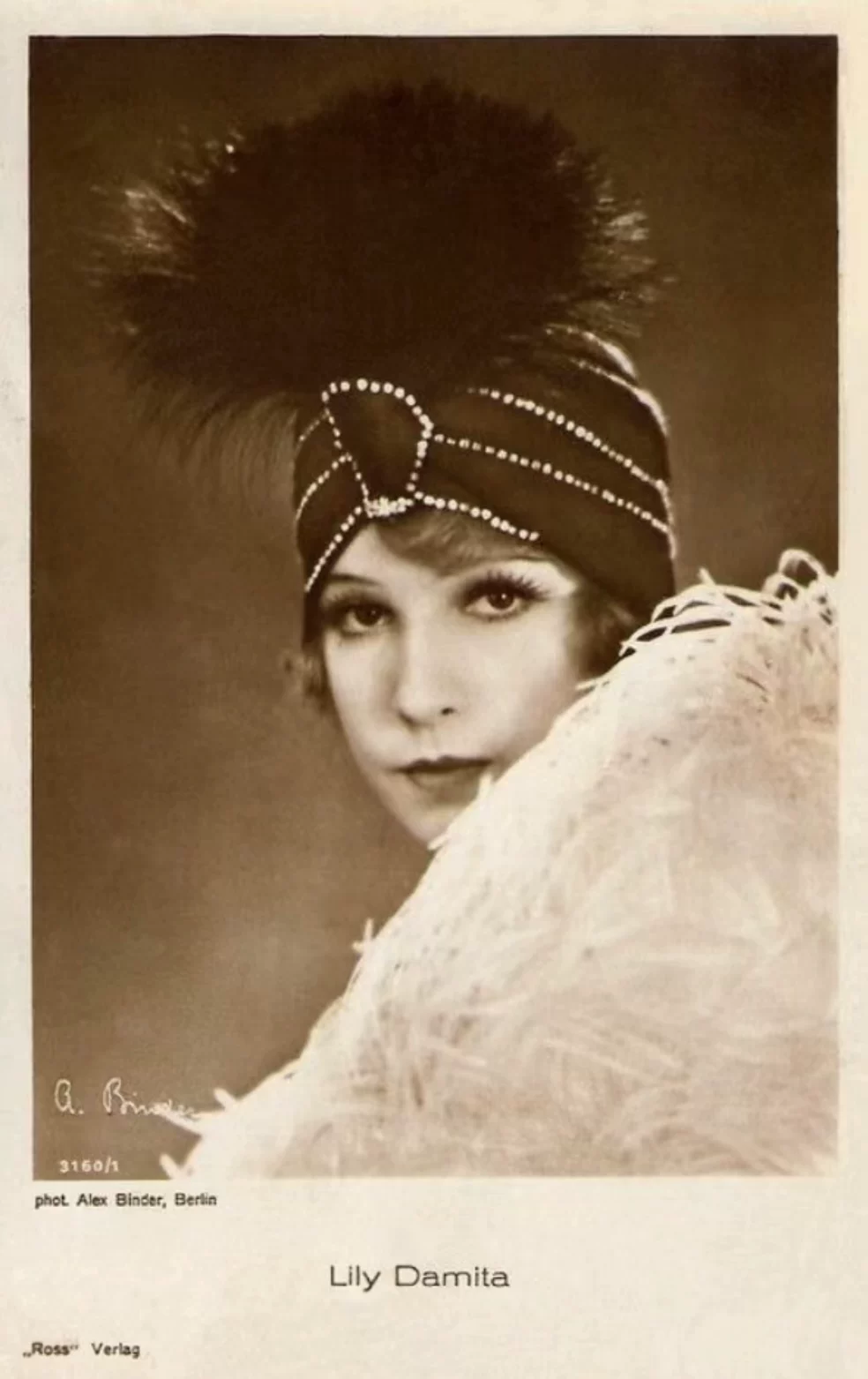 Шиммишимми1920 в стиле