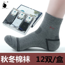 Fashion mens mid-tube socks independently packaged 12 pairs of boxed thick cotton autumn and winter deodorant adult socks