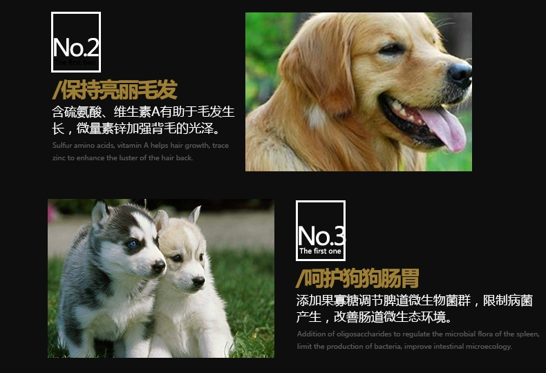 Oz 20kg40 kg Teddy Golden Retriever Bear Husky VIP Husky Samoyed Large Small Dog Puppy Dog Food - Chó Staples