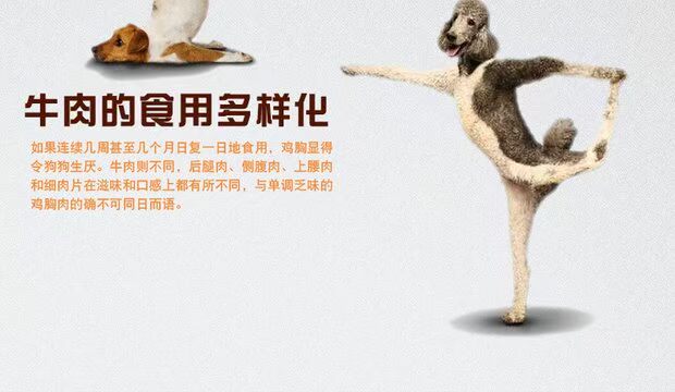 Đồ ăn nhẹ cho chó Betty Thịt bò Dải 500g Phần thưởng huấn luyện thú cưng Đồ ăn nhẹ Thanh cao Canxi Teddy Golden Hair Molar Stick đồ ăn cho chó con