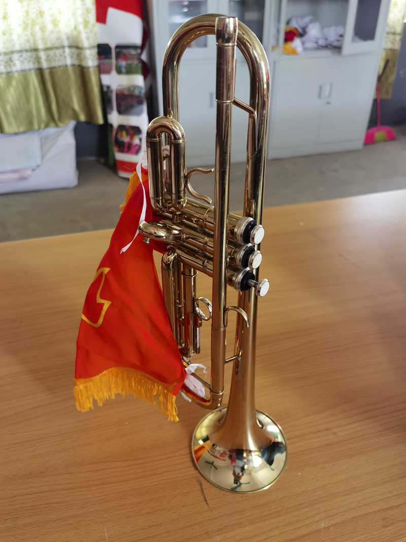 Three-sound band of seawave instruments