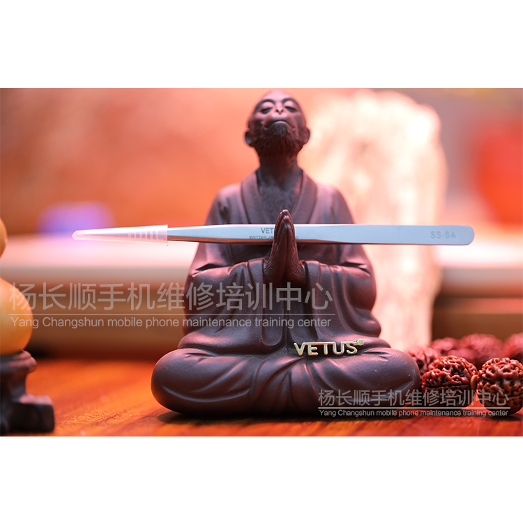VETUS tweezers SS-JP (Master Yang)